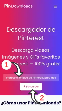 es descargador de videos de pinterest en linea