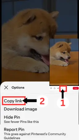 Home Pinterest Downloader online