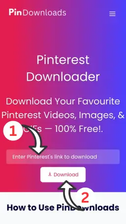 Home Pinterest Video Downloader