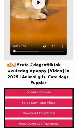 Home Pinterest Videos Online