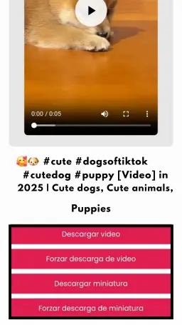 Descargador de imágenes de Pinterest Descargar Imagen de Pinterest