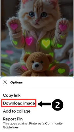 Pinterest Image Downloader Pinterest Image Downloader