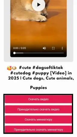 ru Загрузчик видео с Pinterest