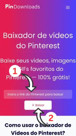 pt baixador de vídeos do Pinterest