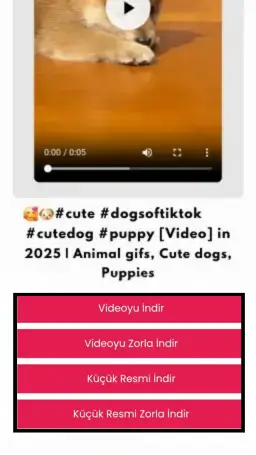 tr Pinterest Video Online