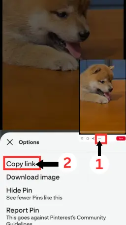 cz stahovač videí z pinterestu