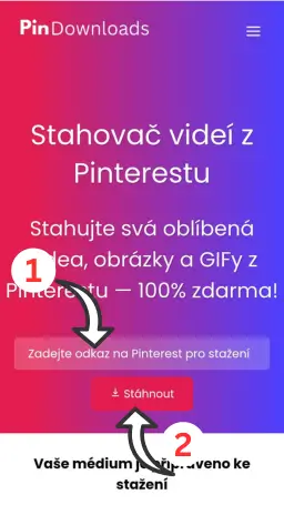 cz stahovač videí z pinterestu