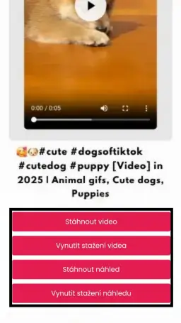 cz stahovač videí z pinterestu