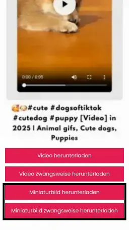 Pinterest Bild Downloader Pinterest Bild Downloader