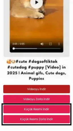 Pinterest Görsel Indirme Aracı Pinterest Görsel Indirme Aracı