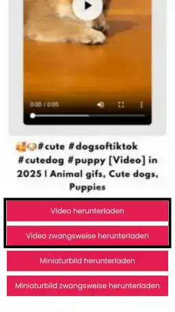 de pinterest video herunterladen