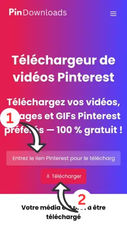 fr téléchargeur de vidéos pinterest