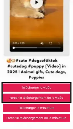 fr téléchargeur de vidéos pinterest