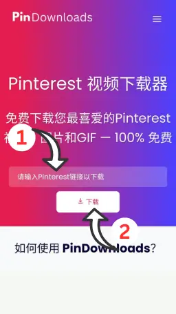 zh pinterest 视频下载器