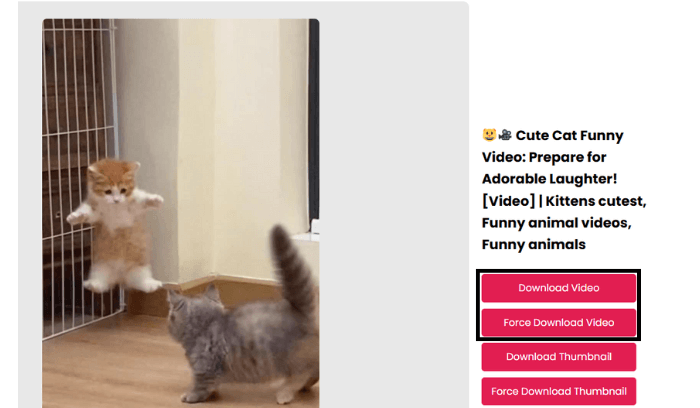 Save the Pinterest Video