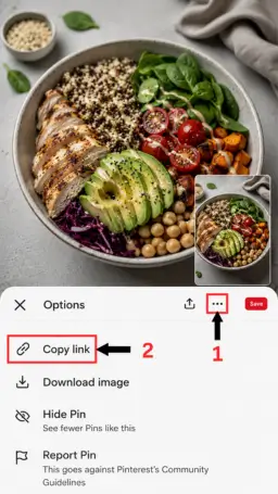 Pinterest Image Downloader Save Pinterest Image